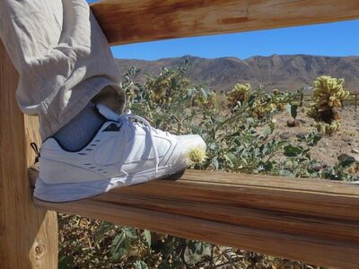 Joshua Tree Ranch