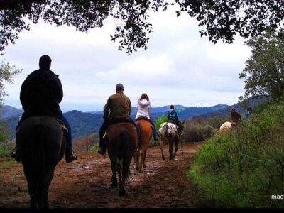 Circle Bar B Guest Ranch & Stables