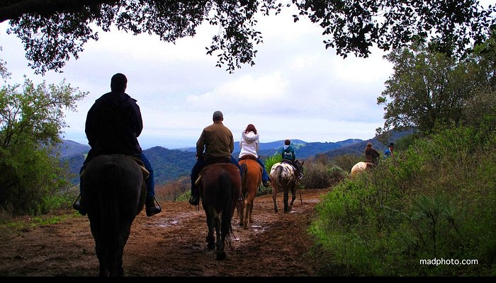 Circle Bar B Guest Ranch & Stables