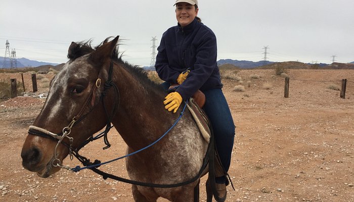 Silver State Horseback Riding Tours