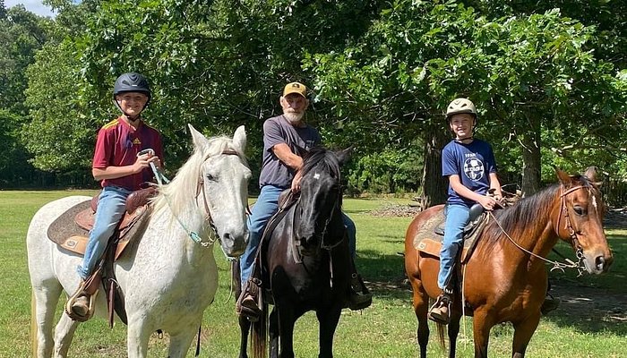 Collins Natural Horsemanship