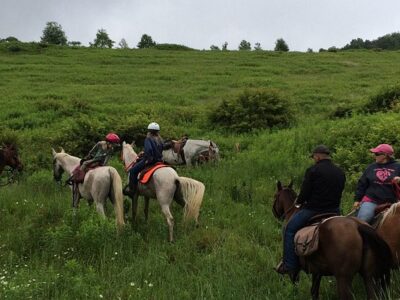 Summit Trail Rides