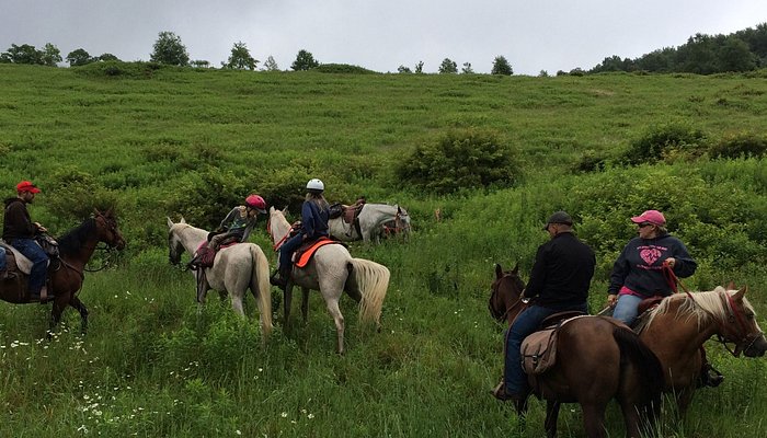 Summit Trail Rides