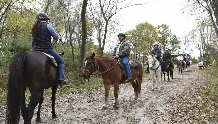 Jester Park Equestrian Center