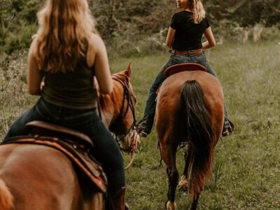 Mountaintop Ranch Wilderness Trail Rides