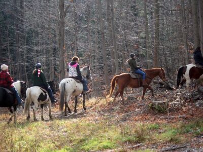 Double Dab Riding Stable