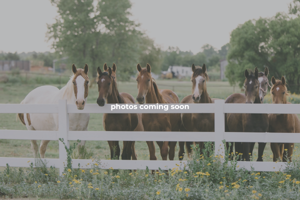 Coming soon