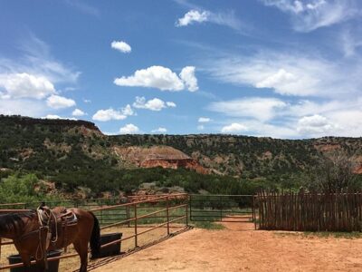 Old West Stables