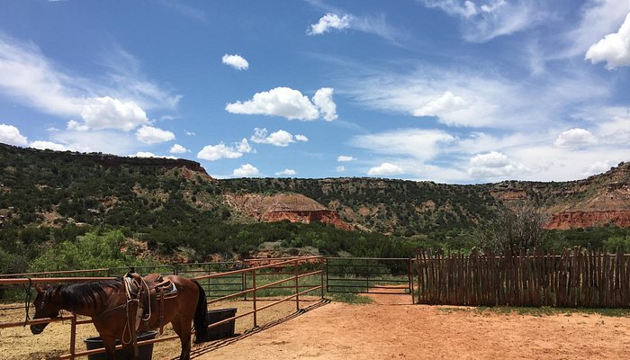 Old West Stables