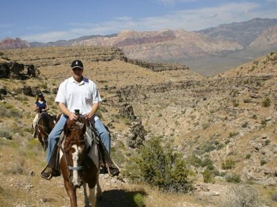 Cowboy Trail Rides