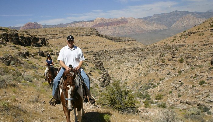 Cowboy Trail Rides