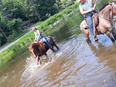 Ruggiero's Public Horseback Riding And Cabin Rentals
