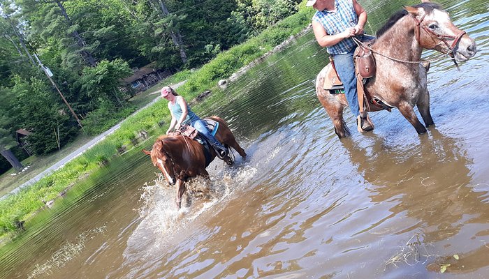 Ruggiero's Public Horseback Riding And Cabin Rentals