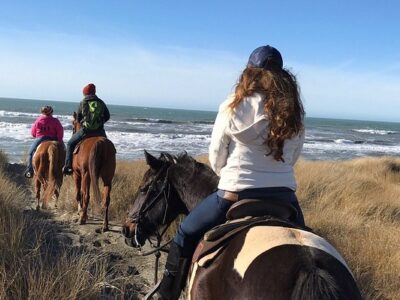 Crescent Trail Rides