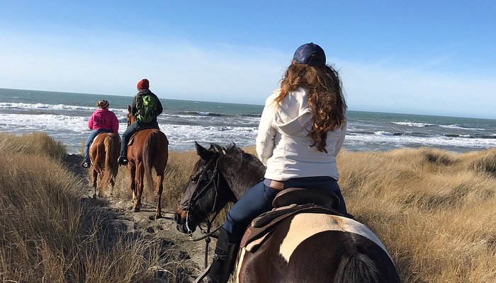 Crescent Trail Rides