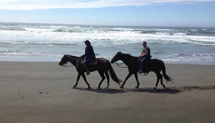 Crescent Trail Rides