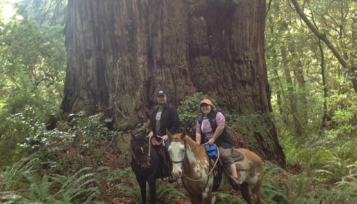 Crescent Trail Rides