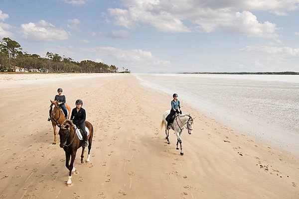 Daufuskie Trail Rides