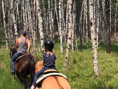 T&M Trail Rides