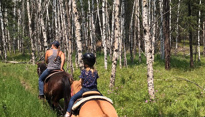T&M Trail Rides