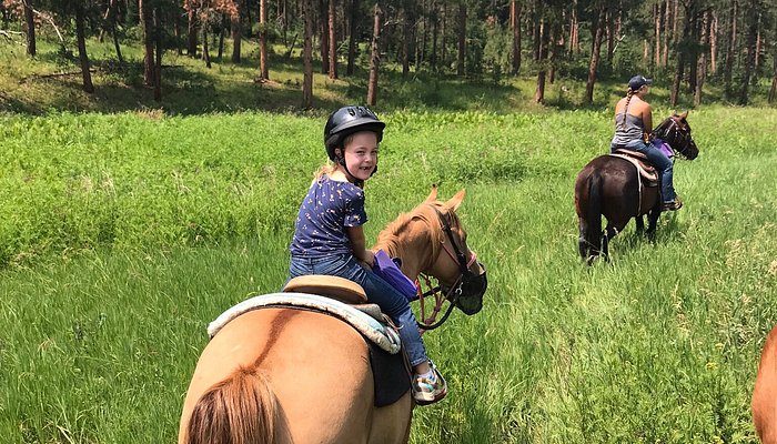 T&M Trail Rides