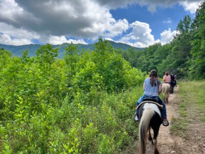Davy Crockett Riding Stables