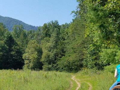 Davy Crockett Riding Stables