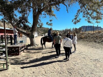 Desert Wonders Tour: Horseback Ride thru Joshua Tree Forest with Buffalo & Lunch