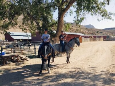 Desert Wonders Tour: Horseback Ride thru Joshua Tree Forest with Buffalo & Lunch