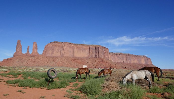Dineh Trail Rides