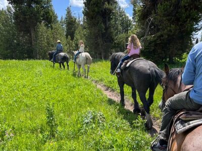 Dry Ridge Outfitters