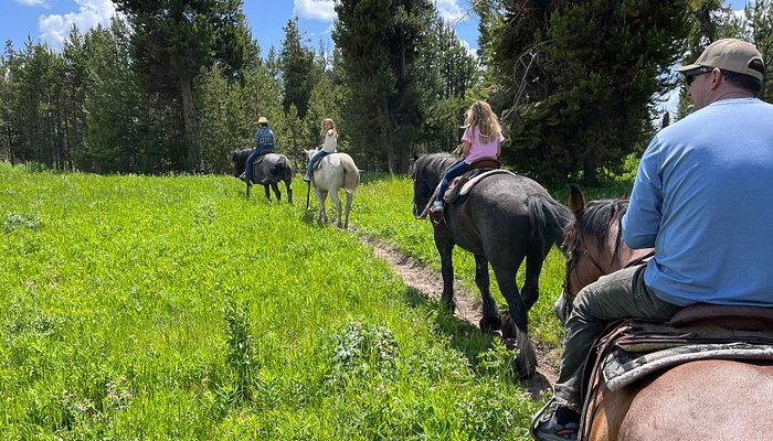 Dry Ridge Outfitters