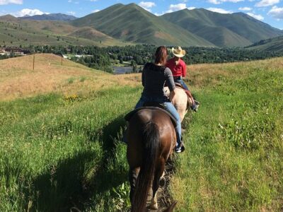 Sun Valley Stables