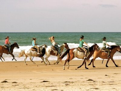 Equine Adventures