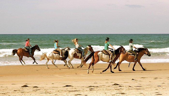 Equine Adventures