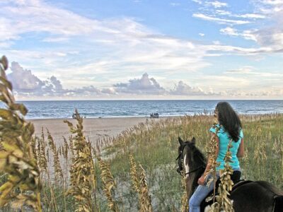 Equine Adventures