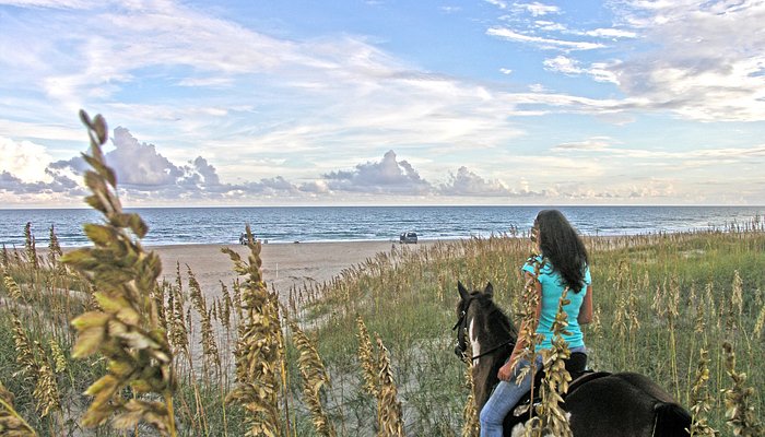 Equine Adventures