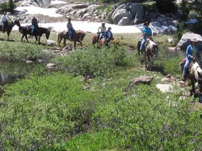 Dry Ridge Outfitters: Wyoming and Idaho Horseback Riding Adventures