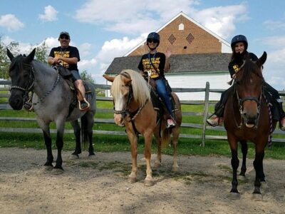 Hickory Hollow Horse Farm