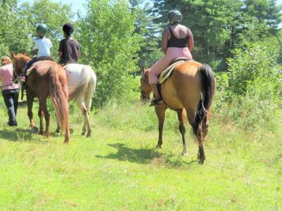 Rocke N Horse Farm