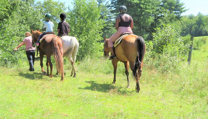 Rocke N Horse Farm