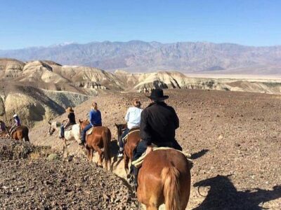 Furnace Creek Stables