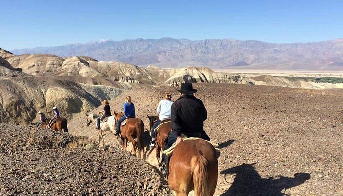 Furnace Creek Stables