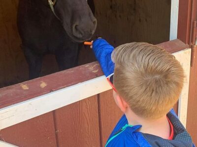 Saddle Up Acres