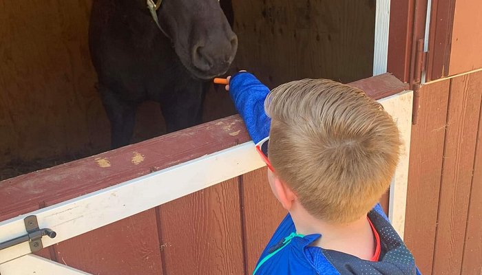 Saddle Up Acres
