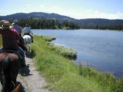 Yellowstone Horses - Eagle Ridge Ranch