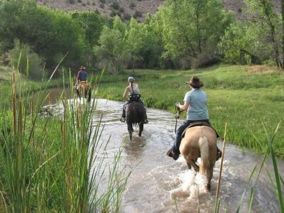 Cowboy Way Adventures