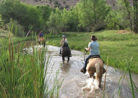 Cowboy Way Adventures
