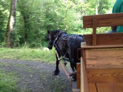 Smokemont Riding Stables