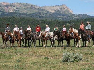 Yellowstone Horses - Eagle Ridge Ranch